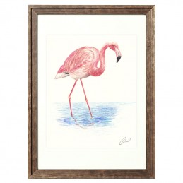 Bild Vogel FLAMINGO